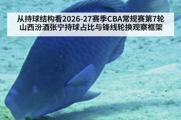 从持球结构看2026-27赛季CBA常规赛第7轮山西汾酒张宁持球占比与锋线轮换观察框架